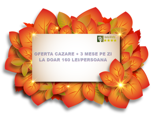 Cazare Pensiune Completa Brasov
